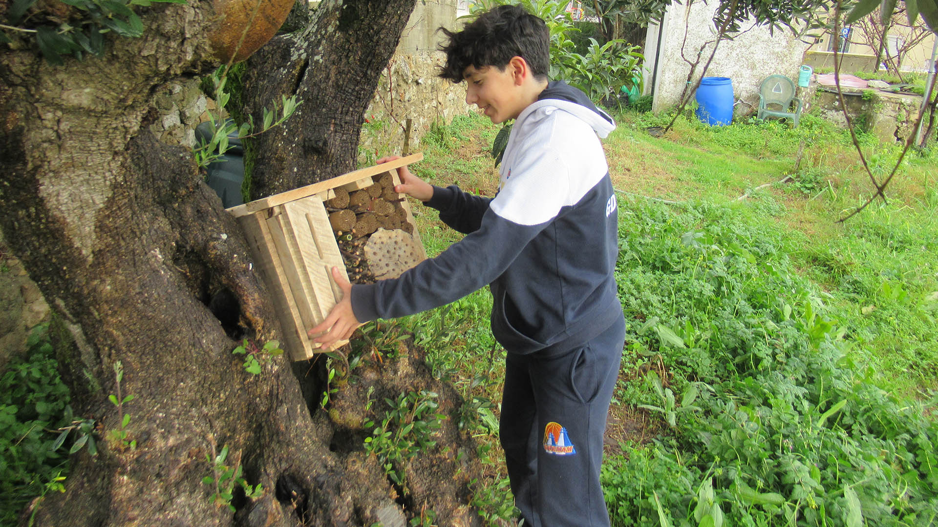 Alunos do 8.º Ano contribuem para ajudar a Natureza com Hotéis de Insetos  