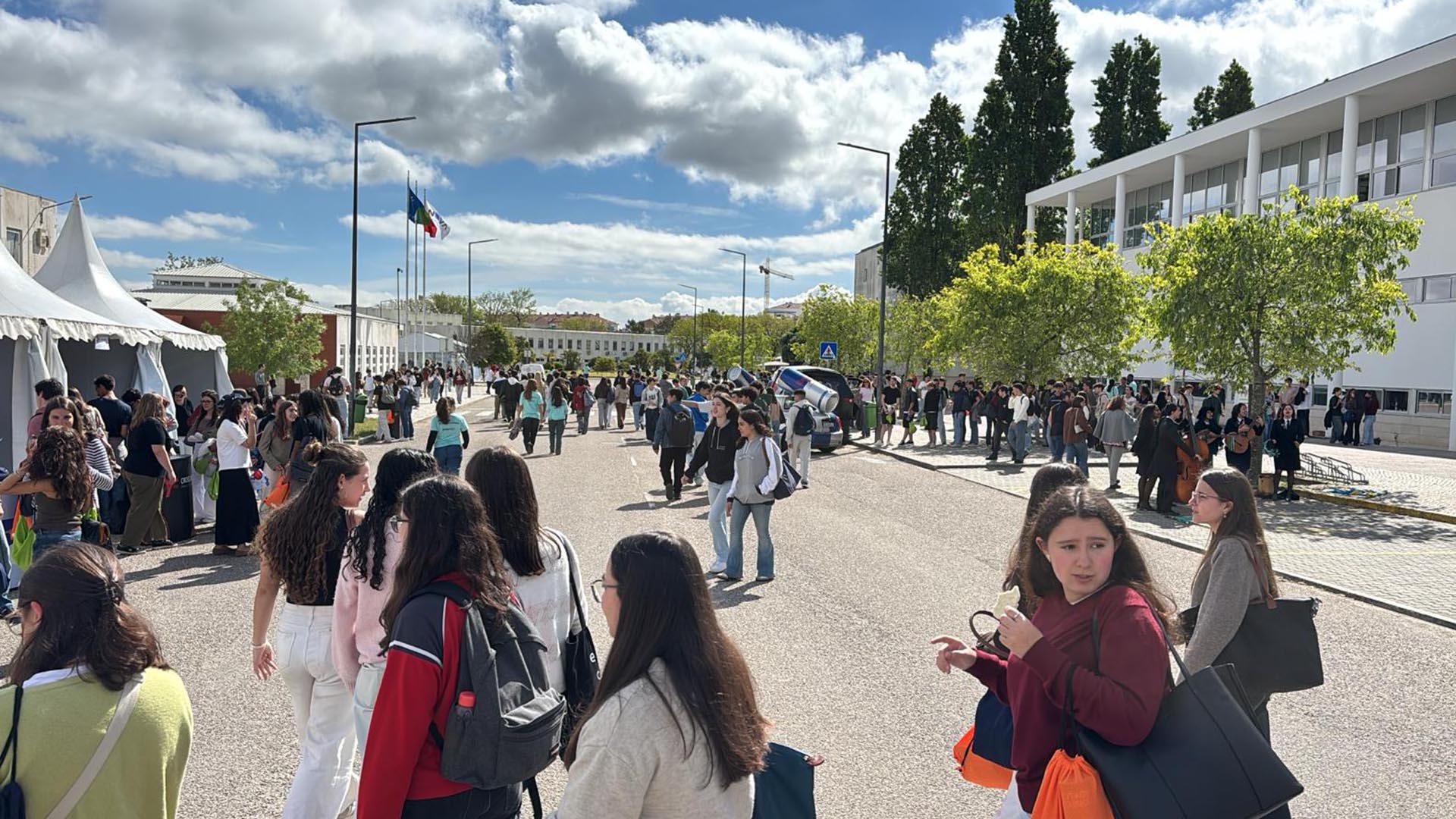 Escolhas Conscientes para o Ensino Superior