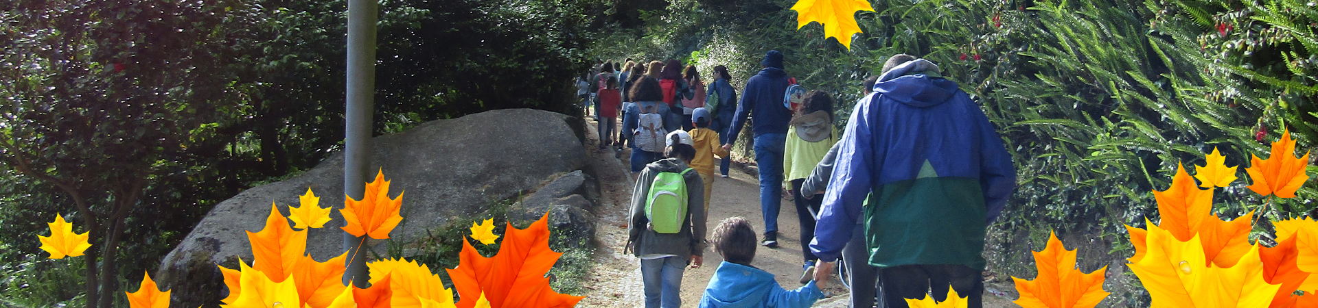 Eco Escolas