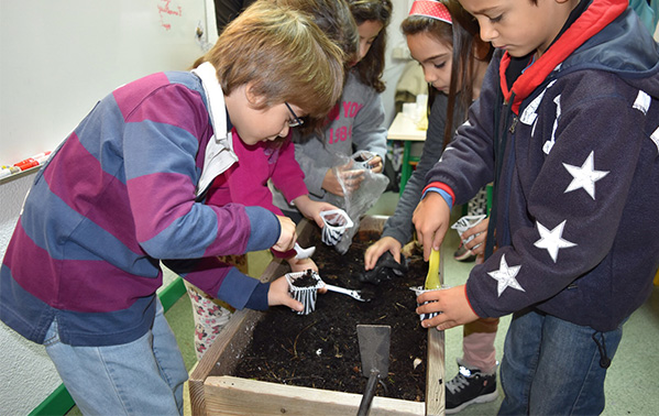 2º Ano planta espécies autóctones