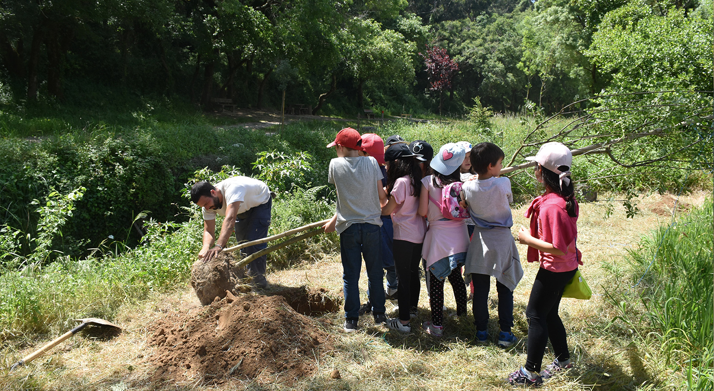 Alunos reflorestam Parque urbano de Fitares