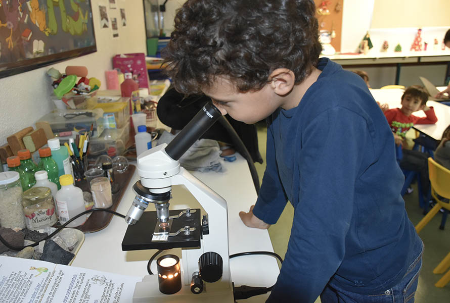 fastrackids  0000 biologia16 0008 tecnologia3